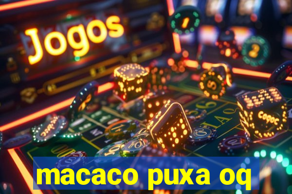 macaco puxa oq